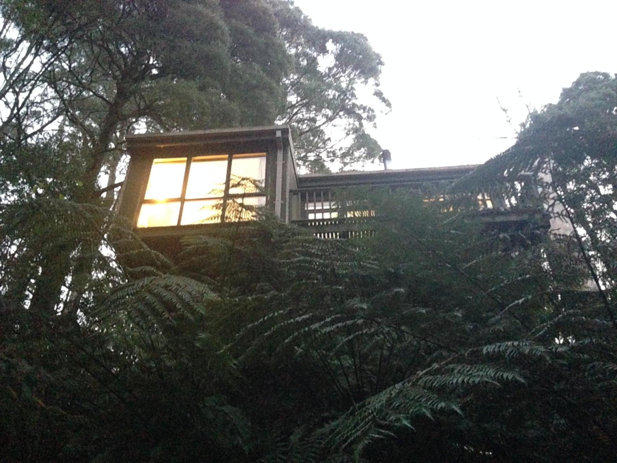 Sassafras Treehouse Private Home In The Dandenong Ranges, Victoria Exterior foto