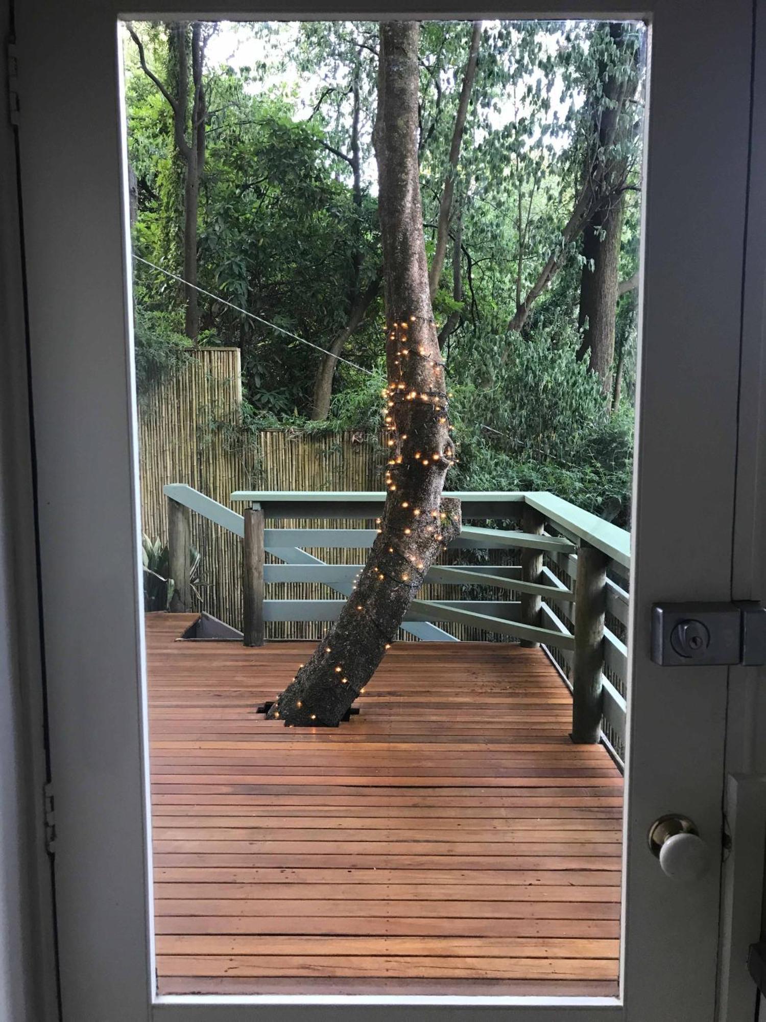 Sassafras Treehouse Private Home In The Dandenong Ranges, Victoria Exterior foto