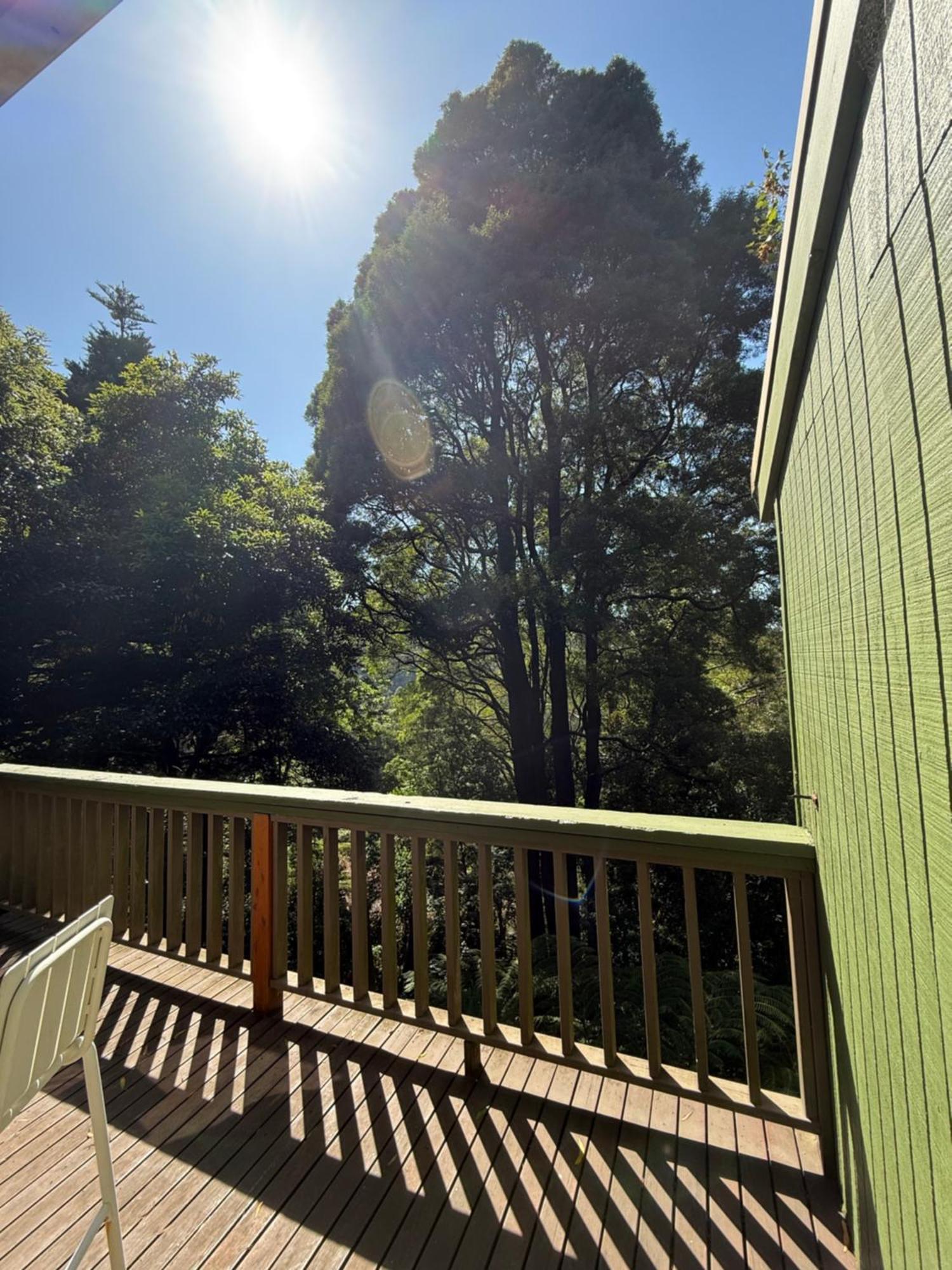 Sassafras Treehouse Private Home In The Dandenong Ranges, Victoria Exterior foto